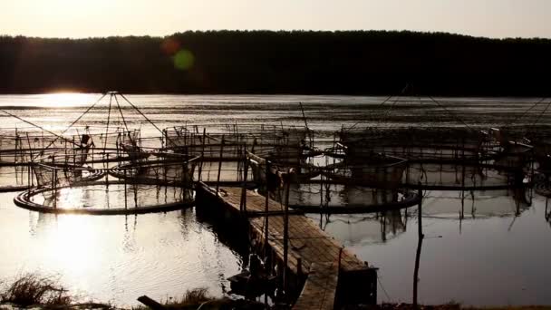 Gün batımında mersin balığı kafesleri — Stok video