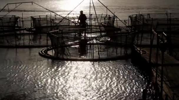 Jaulas de esturión al atardecer — Vídeos de Stock