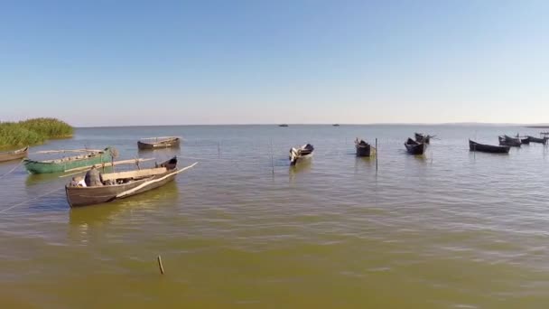 Рибний порт в дельті Дунаю, повітряні — стокове відео