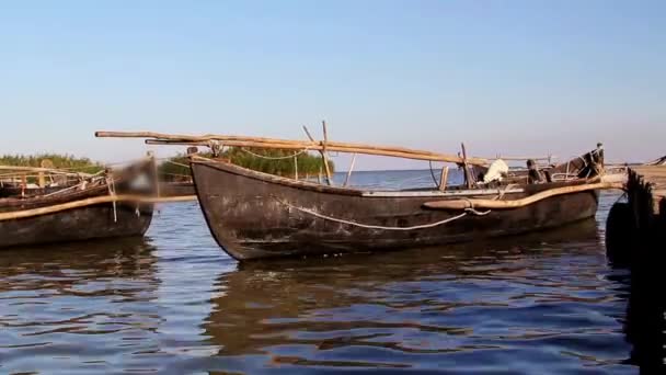 Tuna Deltası'nda balıkçı limanı — Stok video