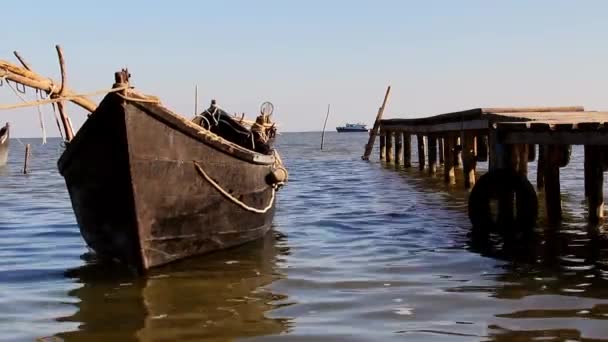 Рибний порт в дельті Дунаю — стокове відео