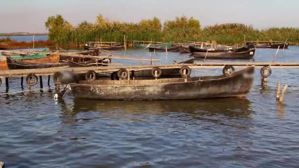 Рибний порт в дельті Дунаю — стокове відео