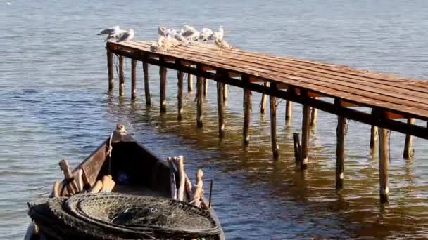 Porto de pesca no delta do Danúbio — Vídeo de Stock