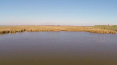 Vahşi Tuna Deltası hava