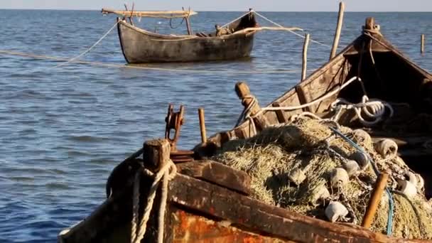 Puerto pesquero del Delta del Danubio — Vídeo de stock