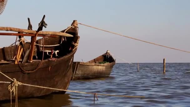 Tuna Deltası'nda balıkçı limanı — Stok video