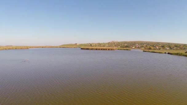 Wild Donaudelta luchtfoto — Stockvideo