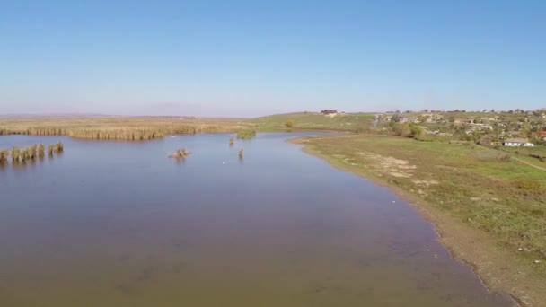 Wild Danube Delta aerial — Stock Video