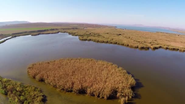 Delta del Danubio selvaggio aerea — Video Stock