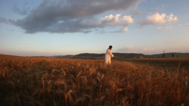 Campesino cosechando trigo con guadaña — Vídeo de stock