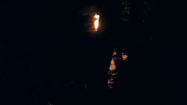 农民步行穿过森林使用木制的火炬 — 图库视频影像