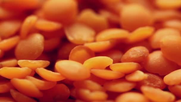 Rotating red lentils — Stock Video