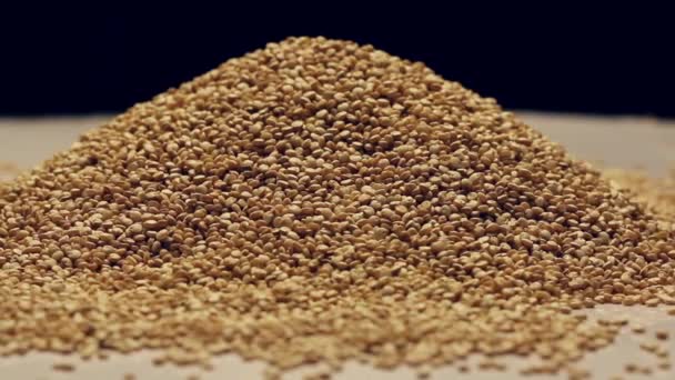 Rotierende Quinoa-Samen — Stockvideo