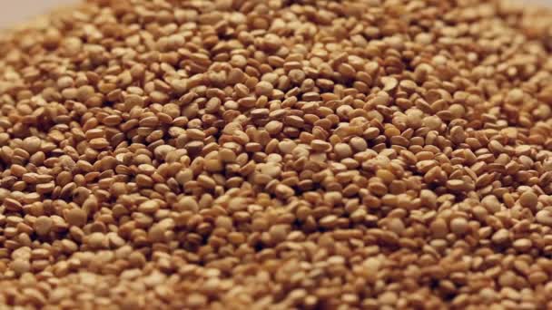 Εκ περιτροπής τους σπόρους quinoa — Αρχείο Βίντεο