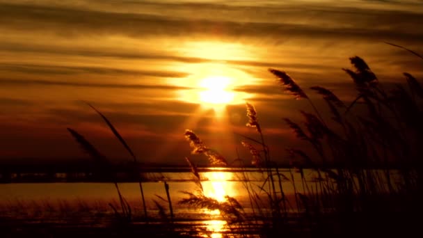 Coucher de soleil — Video