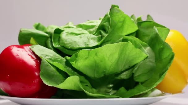 Спінінгова тарілка зі свіжими овочами — стокове відео