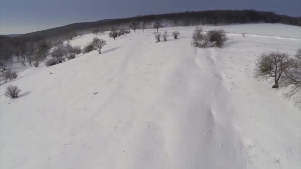 Widok z lotu ptaka krajobraz zimowy — Wideo stockowe