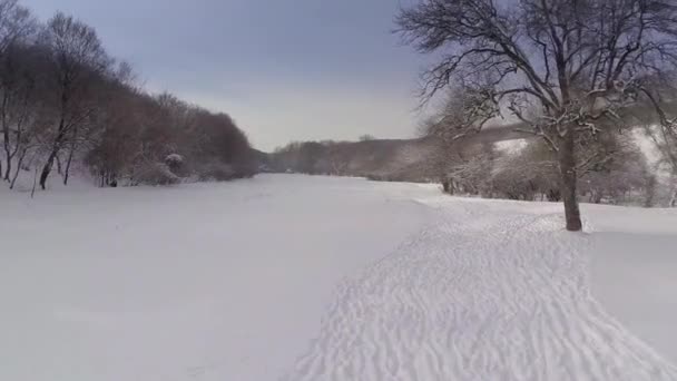 Widok z lotu ptaka krajobraz zimowy — Wideo stockowe