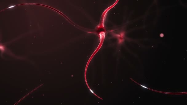 Neurons forming a neural network — Stock Video