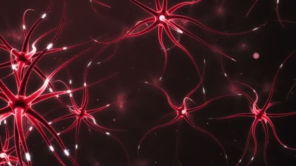 Neuronas formando una red neuronal — Vídeo de stock