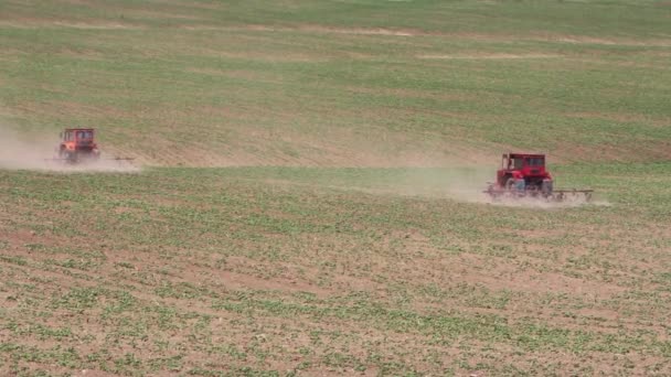 Agricultura — Vídeo de Stock