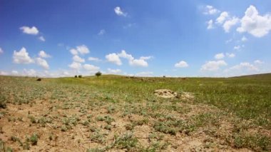Eski kayalıkbir platonun timelapse