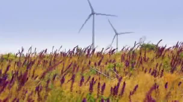 Strong wind and turbines — Stock Video