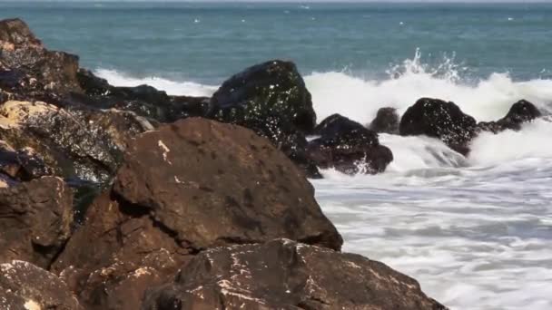 Onde del mare — Video Stock