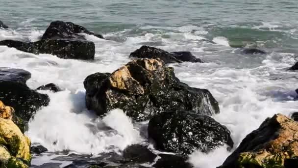 Onde del mare — Video Stock