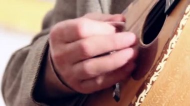 Mandolin
