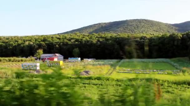 Paisagem em movimento — Vídeo de Stock