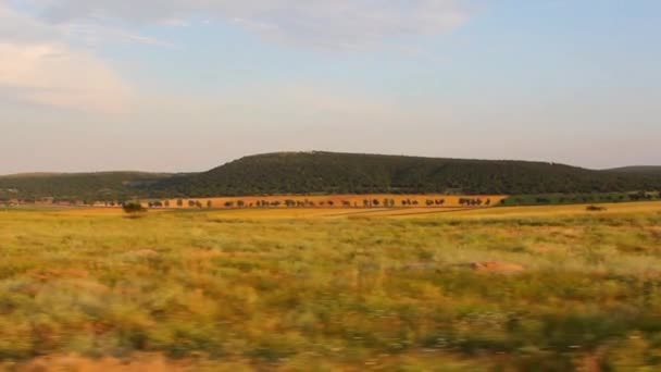 Paysage en mouvement 