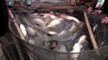 geleneksel balıkçılık