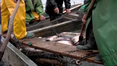 geleneksel balıkçılık