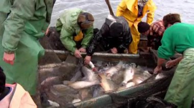 Tuna Deltası'nda geleneksel Balık tutma