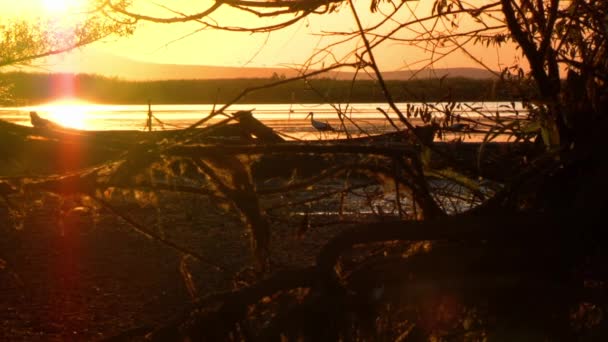 Sonnenuntergang in einem Naturschutzgebiet — Stockvideo