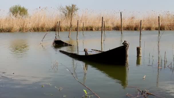 Barco hundido en el delta del Danubio — Vídeos de Stock