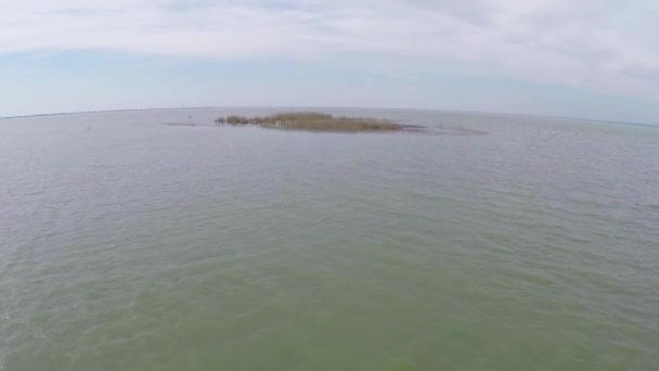 Island hosting colonies of dalmatian pelicans, aerial view — Stock Video