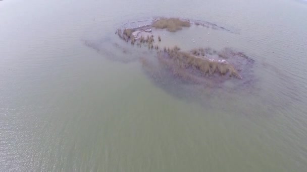 Isla que alberga colonias de pelícanos dálmatas, vista aérea — Vídeos de Stock