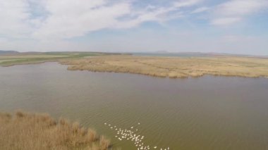 Tuna Deltası hareket