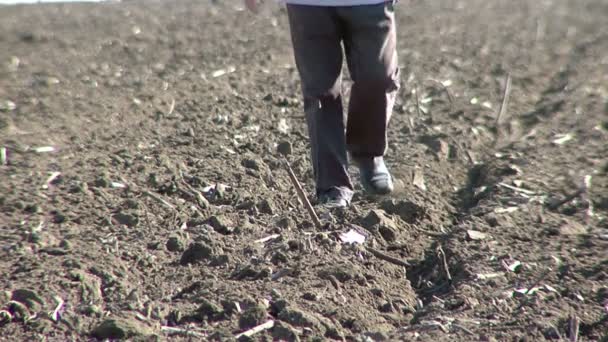 Landwirt überprüft seine Ernte — Stockvideo