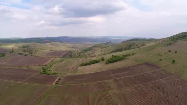 Krásné vinice krajina s dramatickou oblohu, letecký pohled — Stock video