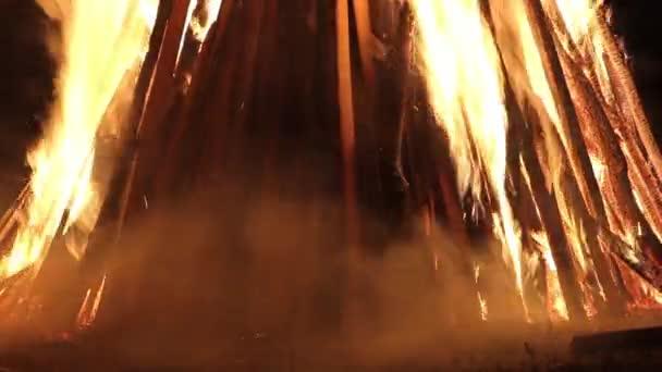 Grand feu de camp dans la nature la nuit — Video