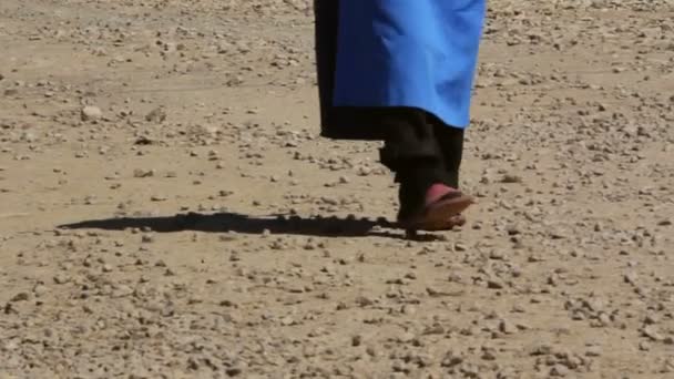 Yaşlı kadın bir ülke yolda yürürken — Stok video