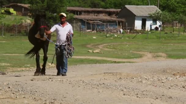El hombre guiando a su caballo por un camino rural — Vídeos de Stock