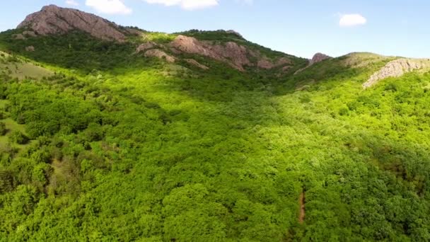 Vue aérienne vallée de montagne couverte de forêt — Video