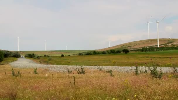 Parque eólico de prueba especial del Delta del Danubio — Vídeos de Stock