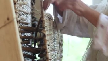 Kuyrugu paspaslar dokuma sanatı