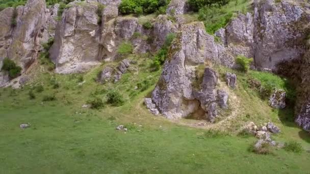 Antica antenna di fondo marino — Video Stock