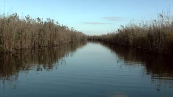 Les zones humides en mouvement 
